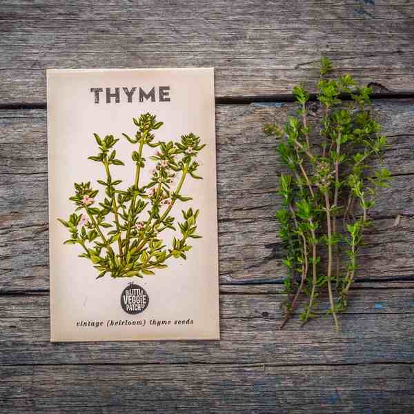 Little Veggie Patch CoLittle Veggie Patch Co - THYME 'SUMMER' HEIRLOOM SEEDS #same day gift delivery melbourne#