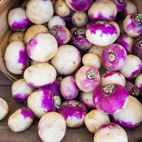 Little Veggie Patch Co - TURNIP 'PURPLE TOP' HEIRLOOM SEEDS