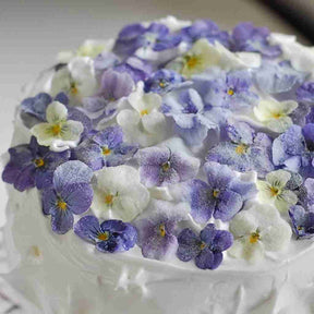 Little Veggie Patch Co - VIOLA "JOHNNY JUMP UP" HEIRLOOM SEEDS