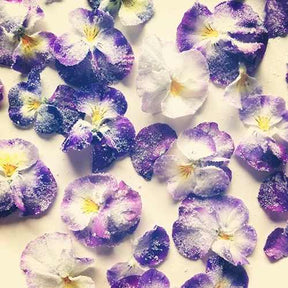 Little Veggie Patch Co - VIOLA "JOHNNY JUMP UP" HEIRLOOM SEEDS