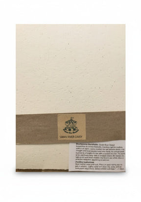 Planet Go Round5 Pack Seed Paper-Plantable Paper same day gift delivery melbourne