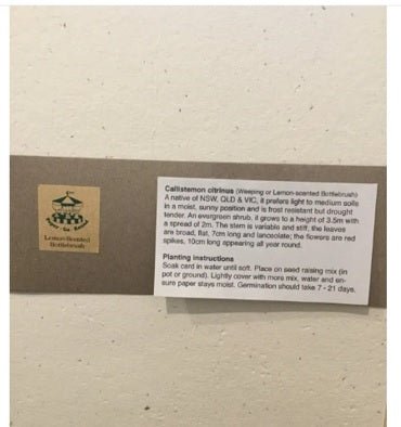 PookipoigaEco - Friendly Corporate Gift Hamper – Desk Refresh Kit same day gift delivery melbourne