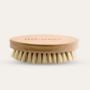 Seed and Sprout Vegetable Brush | Beechwood