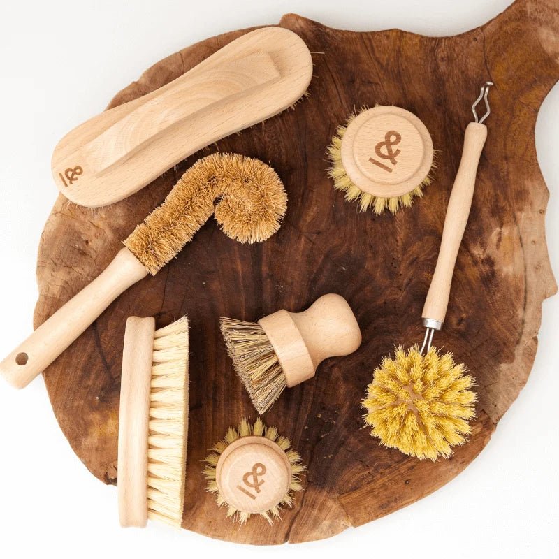 Seed and Sprout Vegetable Brush | Beechwood