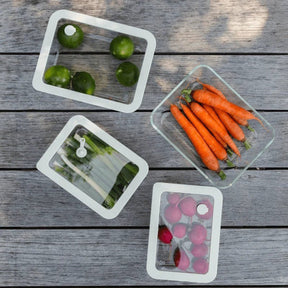 Seed and Sprout CoSeed & Sprout Glass Food Containers - Rectangle Mixed 3pk same day gift delivery melbourne