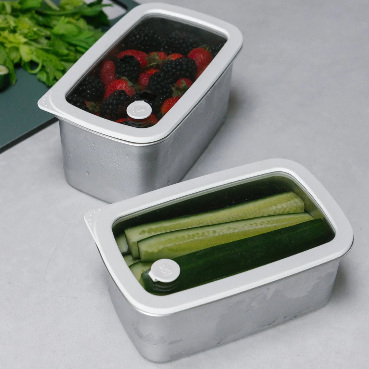 Seed and Sprout CoSeed & Sprout Rectangle Stainless Steel and Glass Containers | 2pk same day gift delivery melbourne