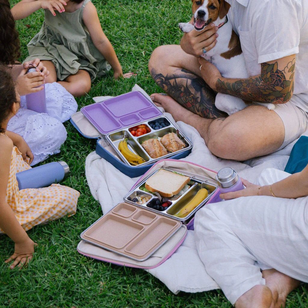 Seed and Sprout CoSeed & Sprout Stainless Steel CrunchBox™ 2.0 Lunch Box same day gift delivery melbourne