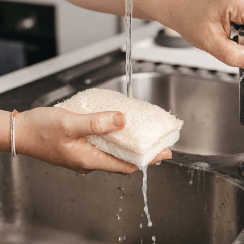 Seed & Sprout compostable cellulose sponge and natural loofah scourer being rinsed under running tap water in a stainless steel kitchen sink.