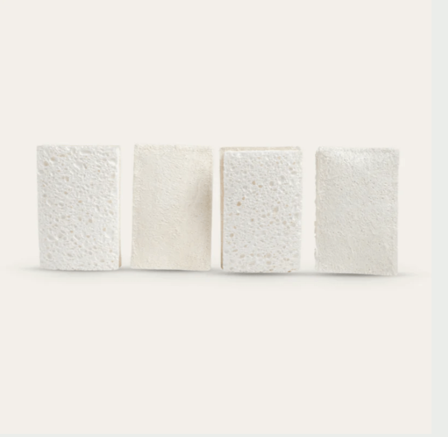 Seed & Sprout compostable cellulose sponges and natural loofah scourers lined up upright.