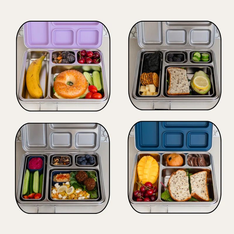 Seed & Sprout CrunchBox 2.0 stainless steel lunch box meal prep ideas in multiple colorways.