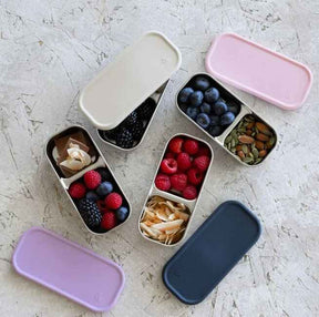 A top-down flat lay view of four stainless steel Seed & Sprout split snack containers filled with various fruits, nuts, and treats, accompanied by silicone lids in mushroom, plum, peony, and indigo