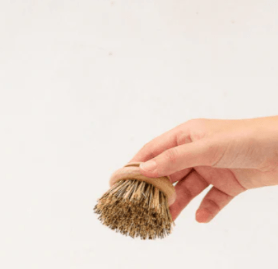 eed & Sprout replacement dish scrubber head held by a hand.