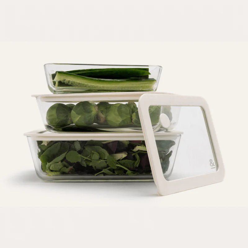 Seed & Sprout Glass Food Containers Rectangle Mixed 3pk studio view.