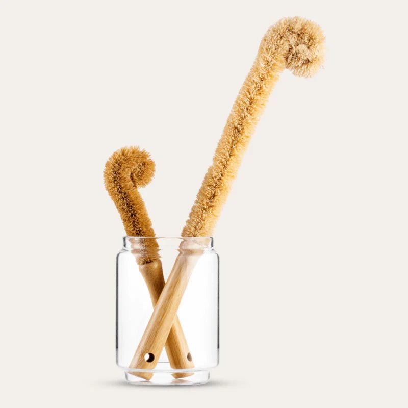 Seed & Sprout Beechwood Bottle Brushes stored upright in a glass jar.