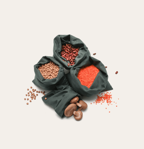 Four charcoal grey Seed & Sprout organic cotton bulk bags filled with chickpeas, kidney beans, red lentils, and mushrooms.