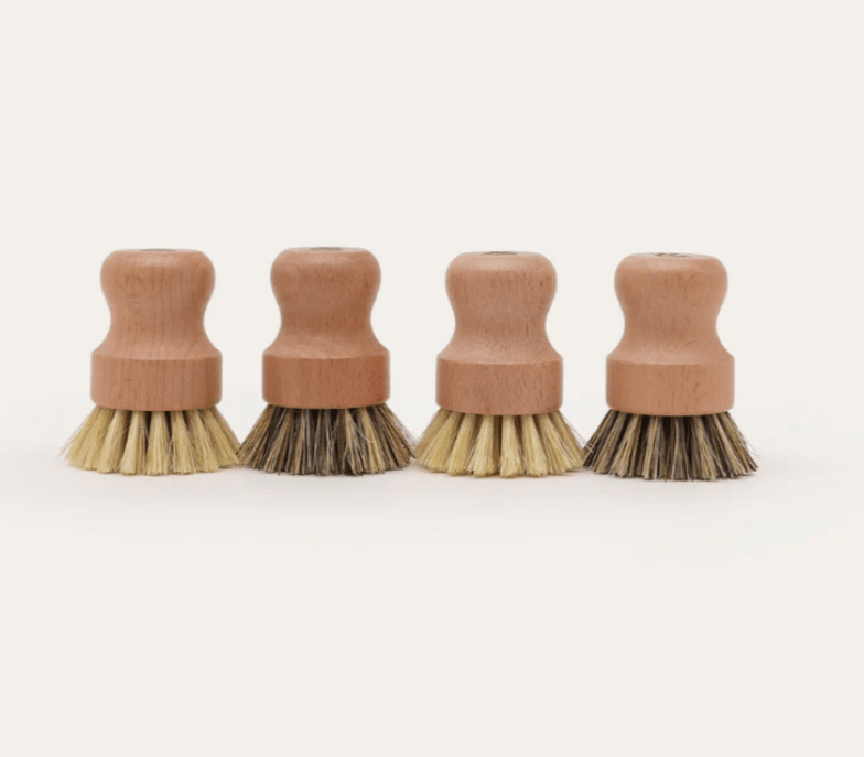 Seed and Sprout CoSeed & Sprout Pot Scrubbers