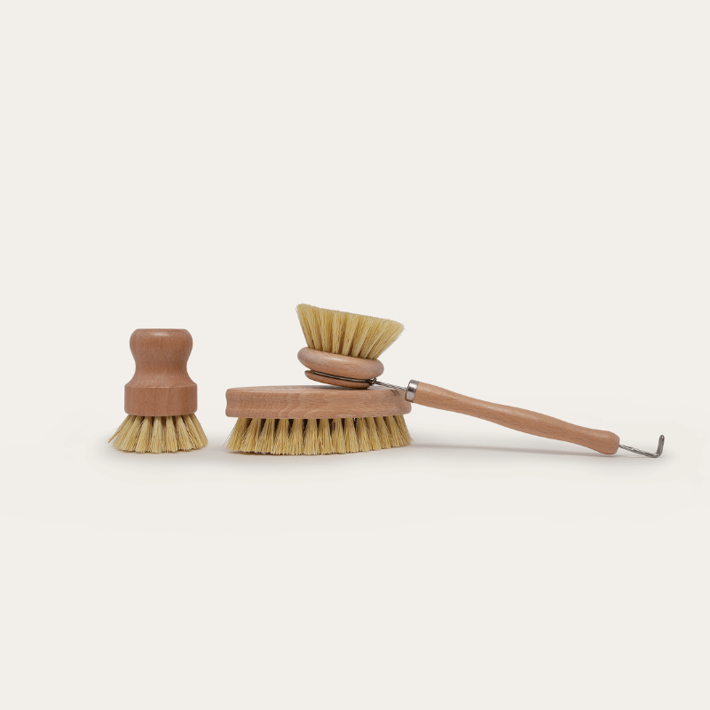 Seed & SproutSeed and Sprout Starter Brush Set same day gift delivery melbourne