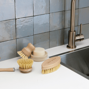 Seed & SproutSeed and Sprout Starter Brush Set same day gift delivery melbourne