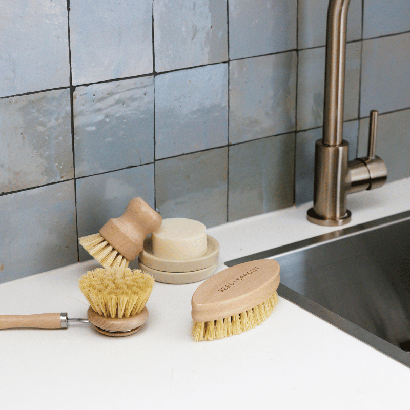 Seed & SproutSeed and Sprout Starter Brush Set same day gift delivery melbourne