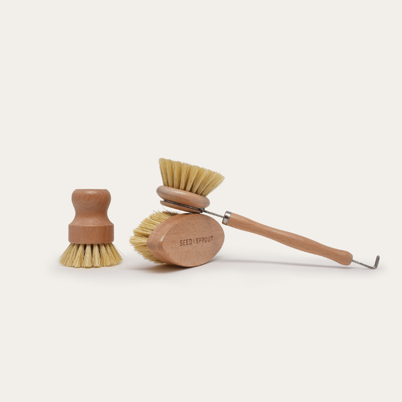Seed & SproutSeed and Sprout Starter Brush Set same day gift delivery melbourne