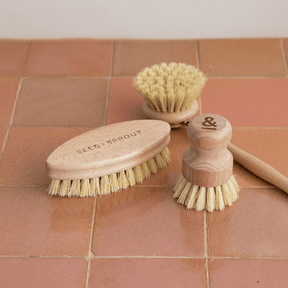 Seed & SproutSeed and Sprout Starter Brush Set same day gift delivery melbourne