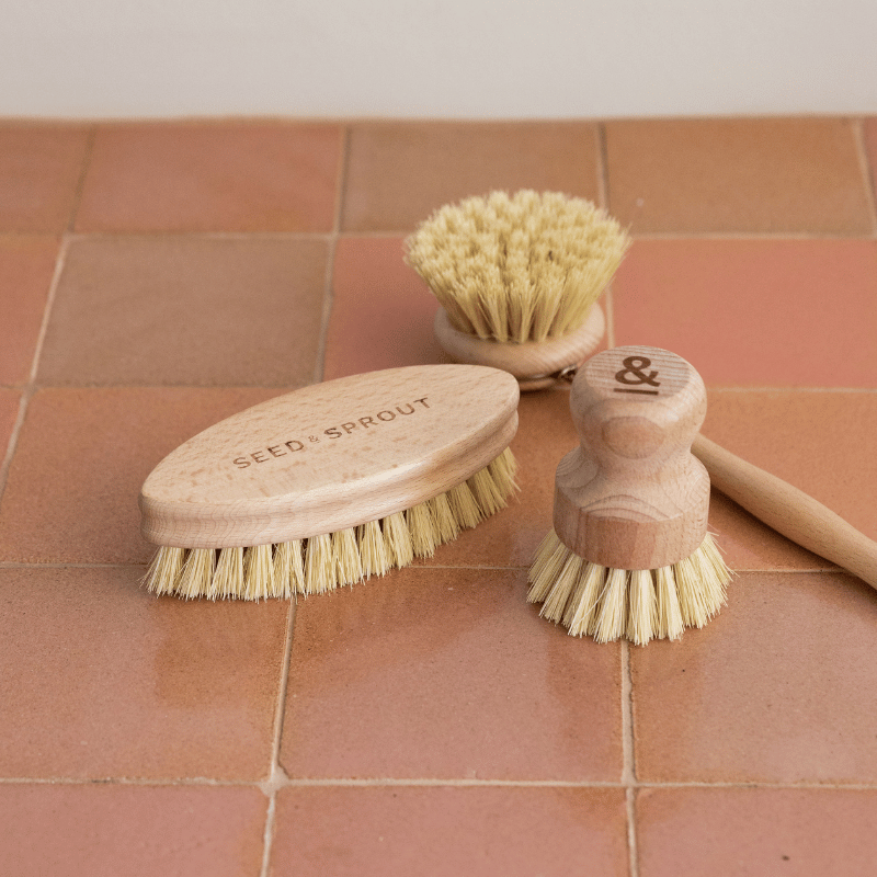 Seed & SproutSeed and Sprout Starter Brush Set same day gift delivery melbourne