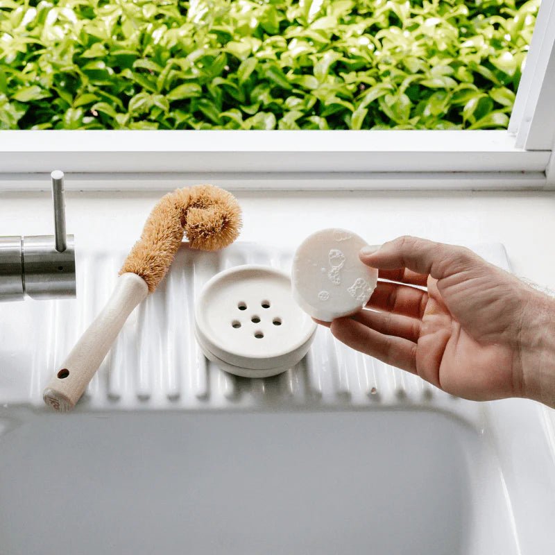 Seed & Sprout Dish Soap Bar and ceramic soap dish by a kitchen sink.