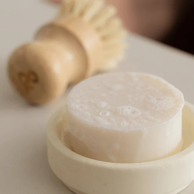 Seed & Sprout Lemon Myrtle Dish Soap Bar and dish brush in a kitchen setting.