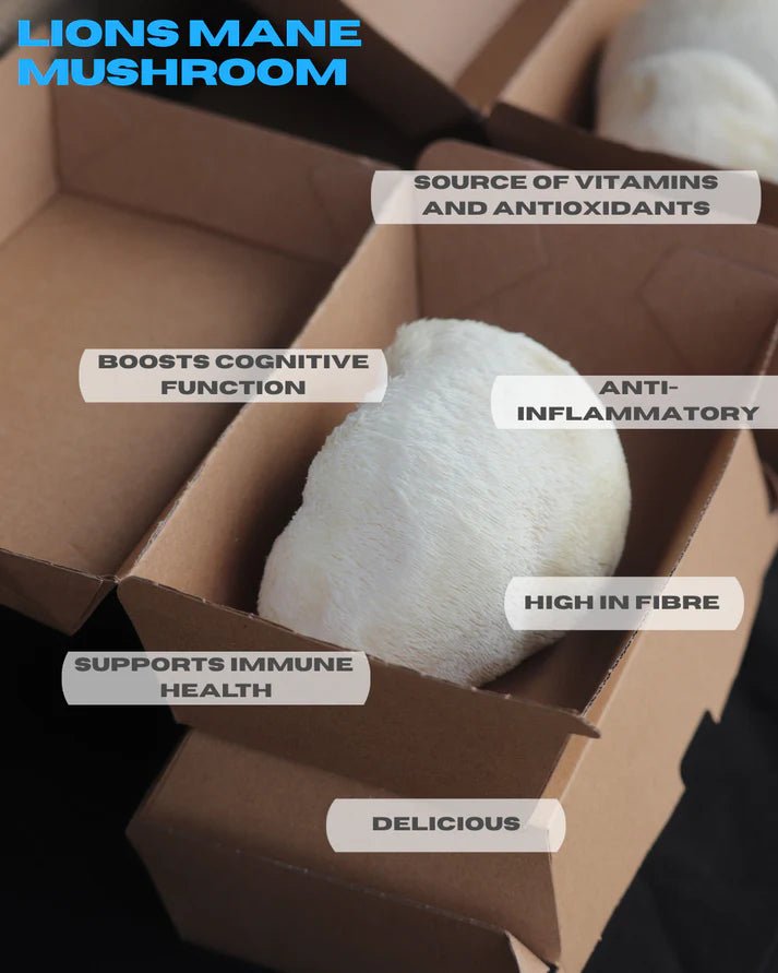 Sporadical City MushroomsSporadical City Mushrooms - Smoked Mushroom Broth 40g same day gift delivery melbourne