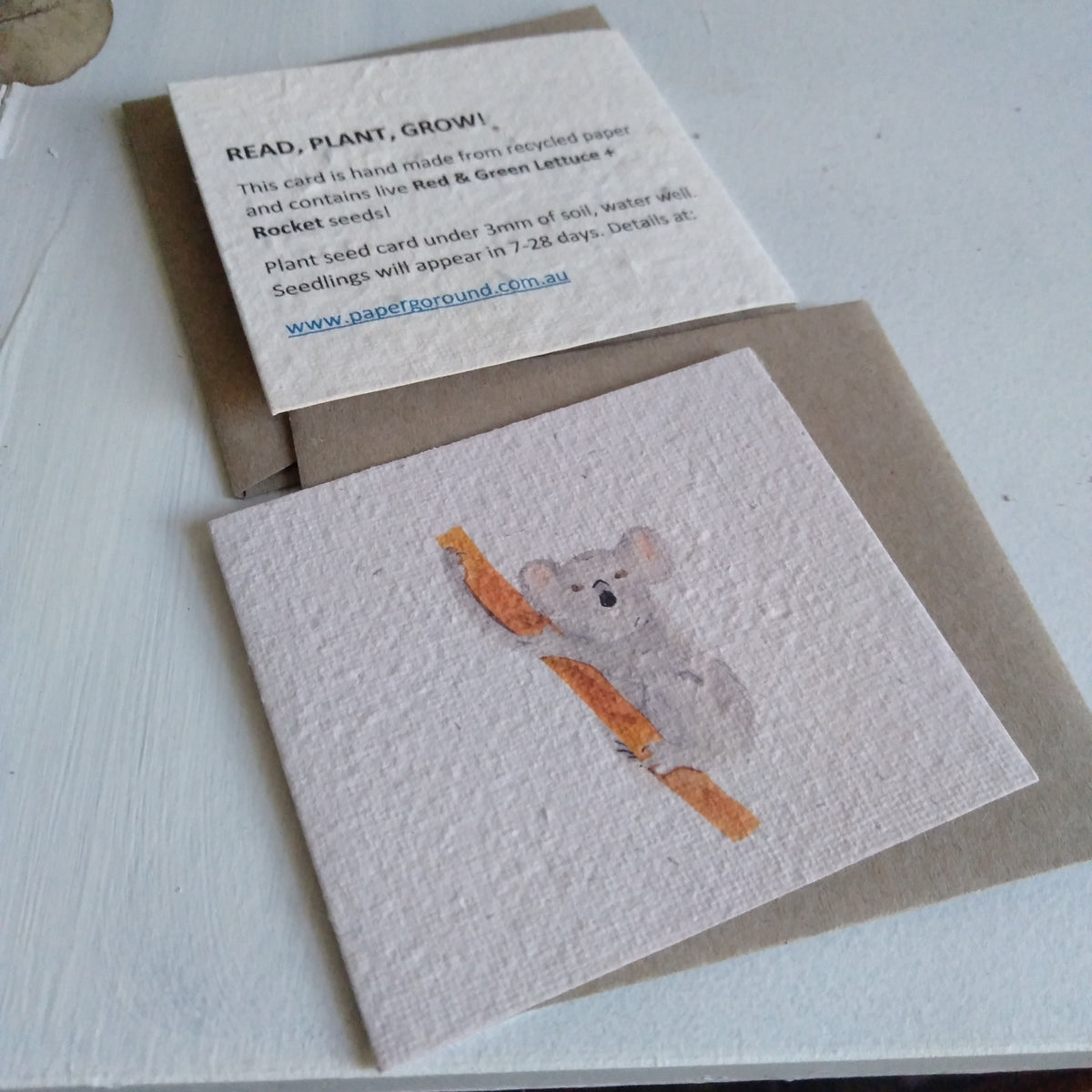 Koala Seed Card (Small) - Pookipoiga