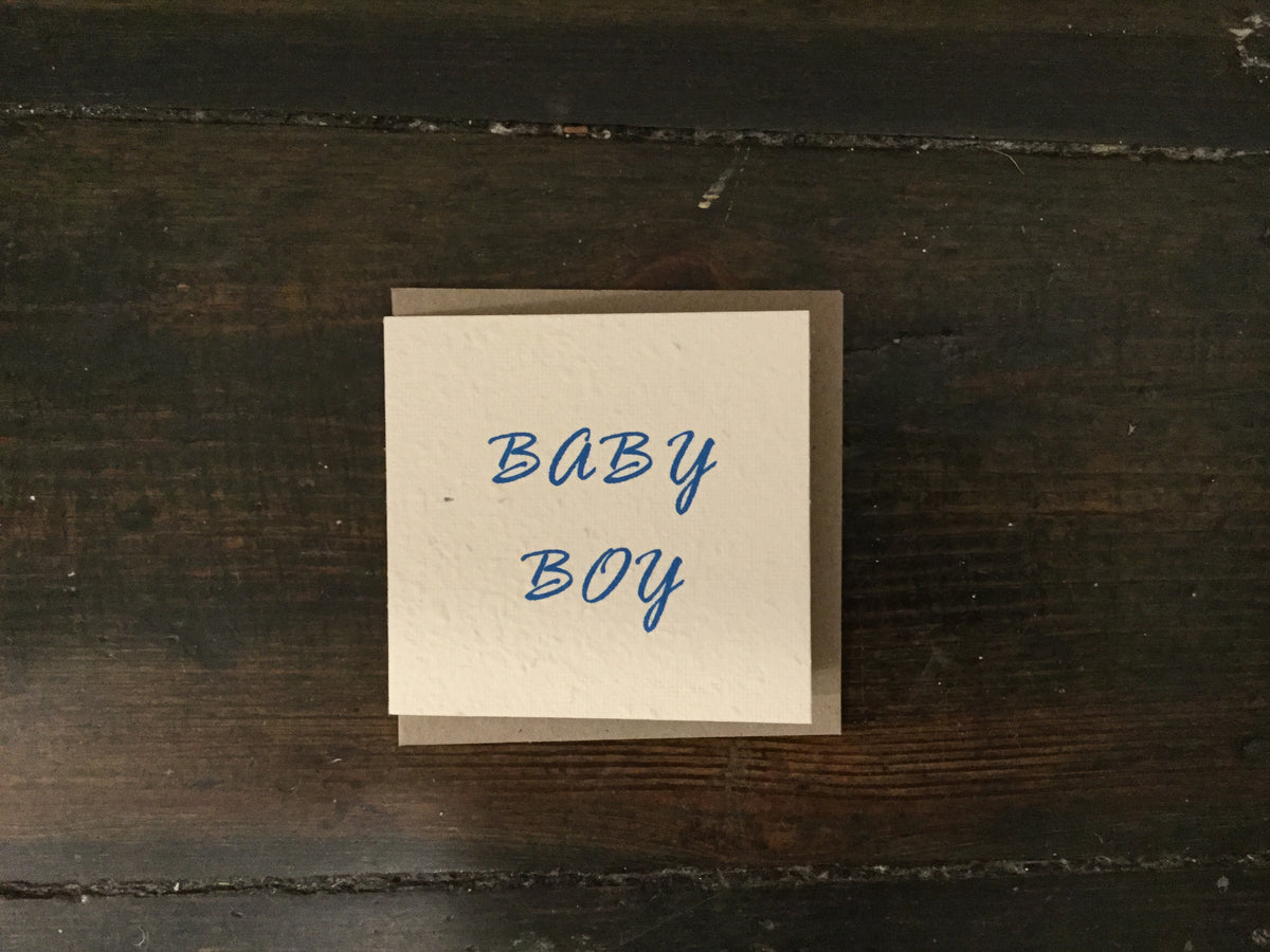 Baby Boy Seed Card (Small) - Pookipoiga