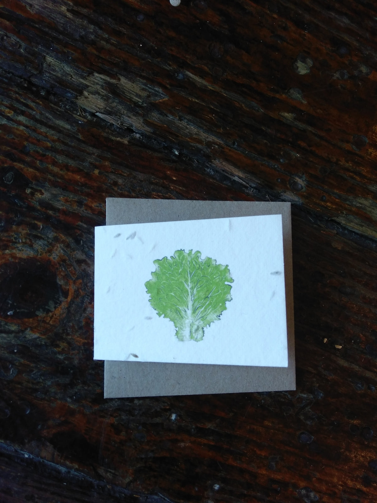 Lettuce Seed Card (Small) - Pookipoiga