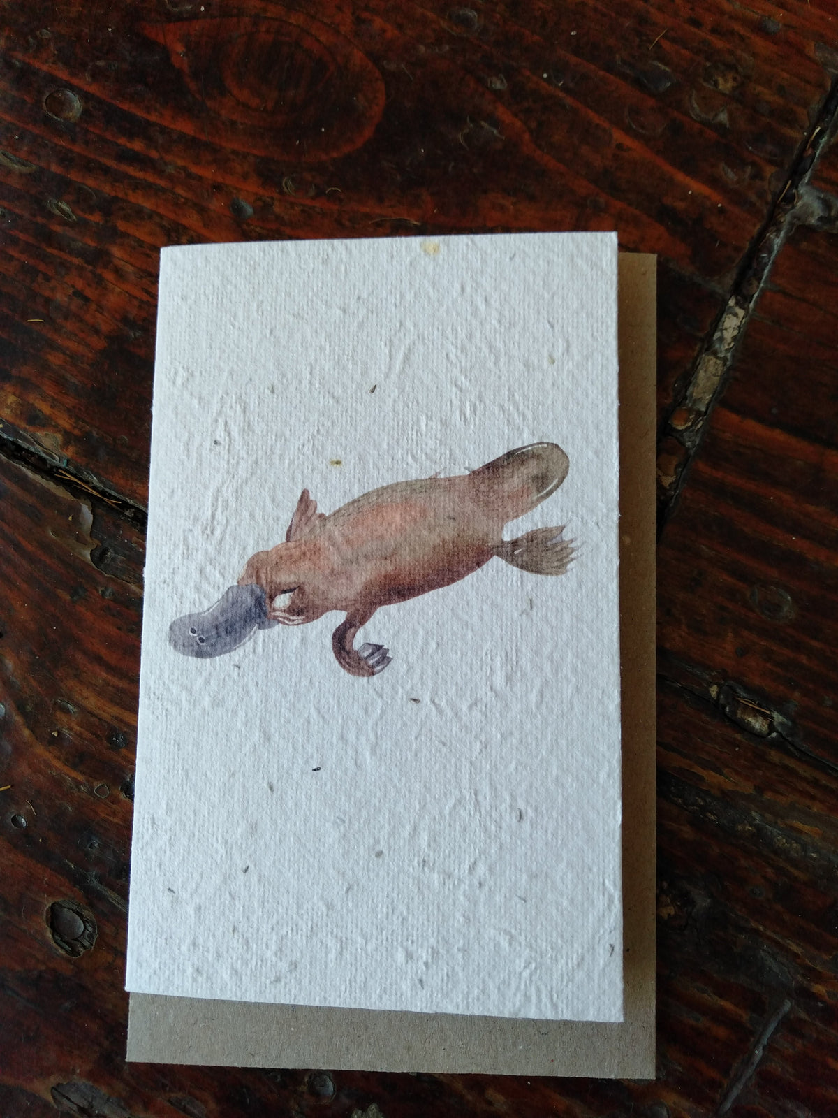 Platypus Seed Card Cards