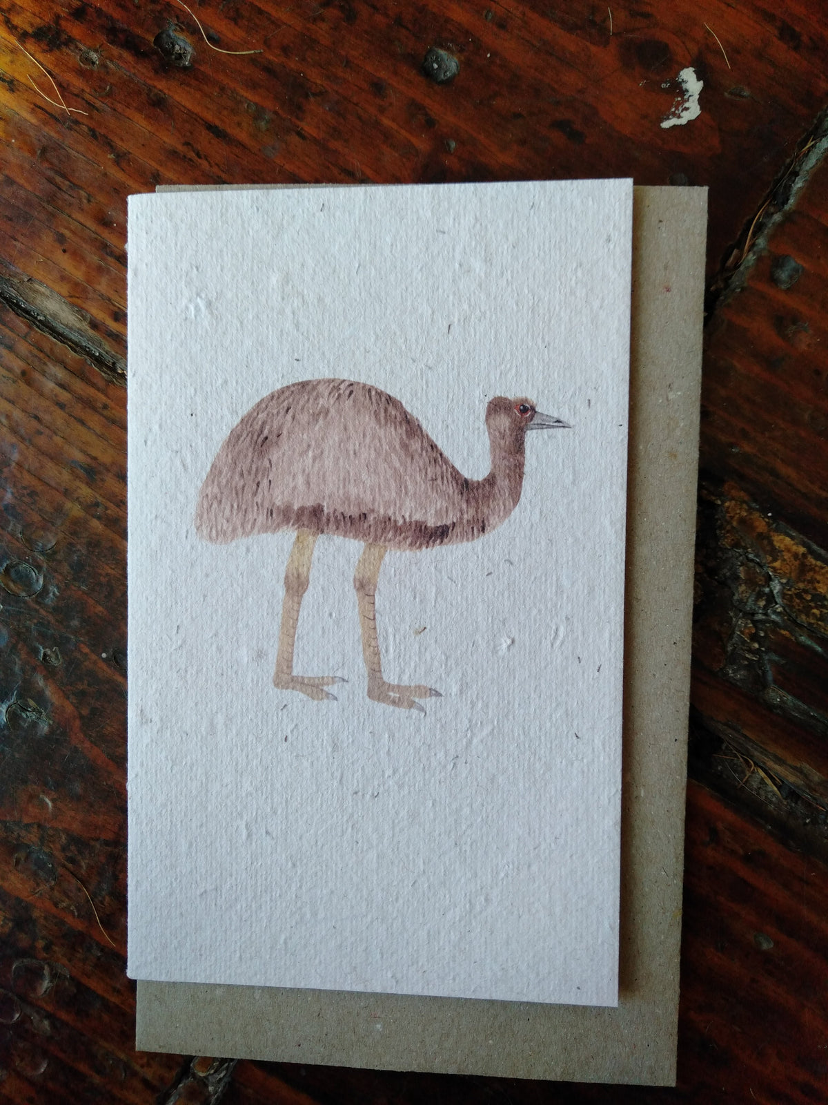 Emu Seed Card Cards