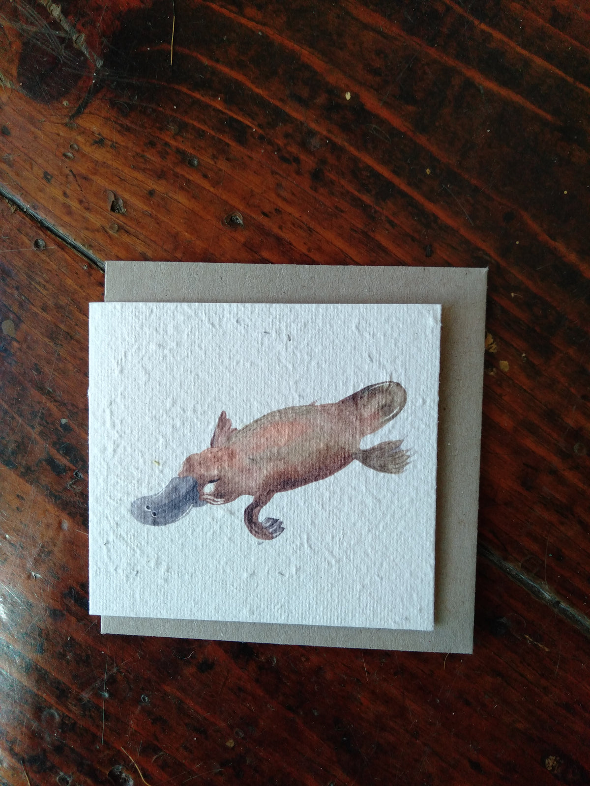 Platypus Seed Card (Small) - Pookipoiga