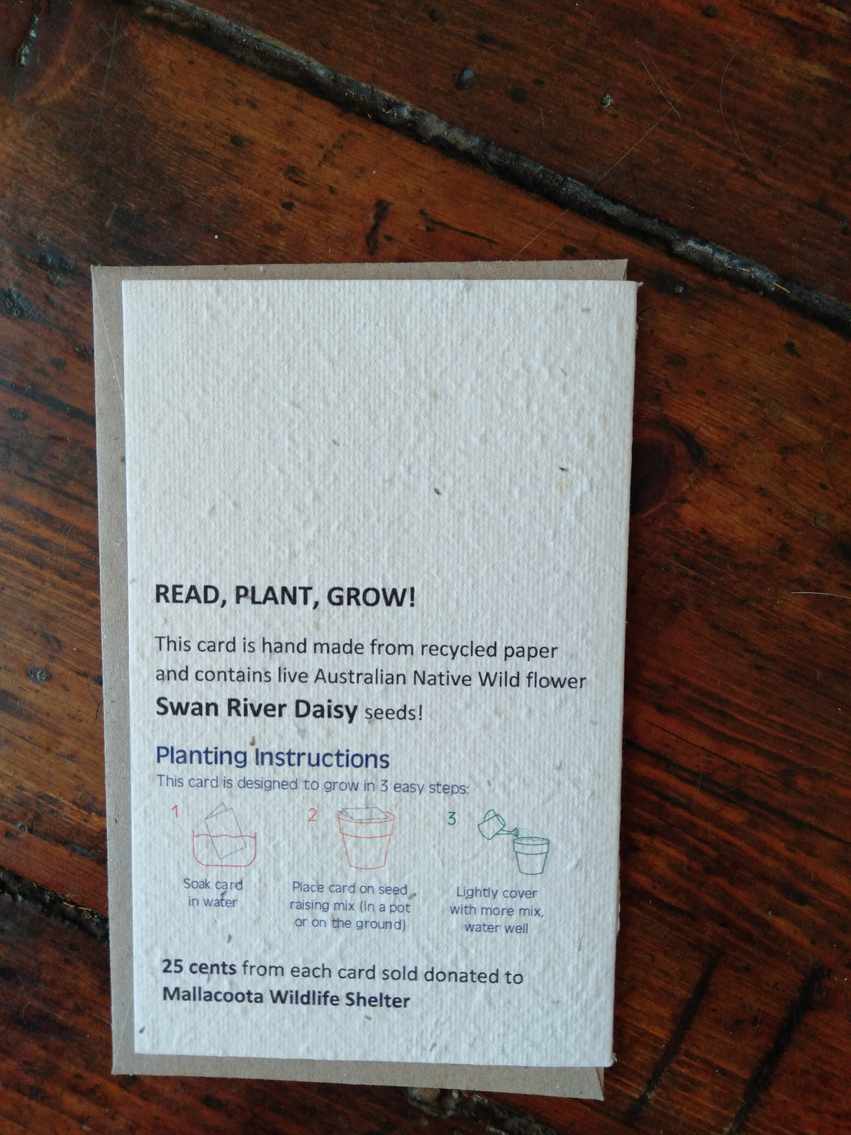 Platypus Seed Card Cards