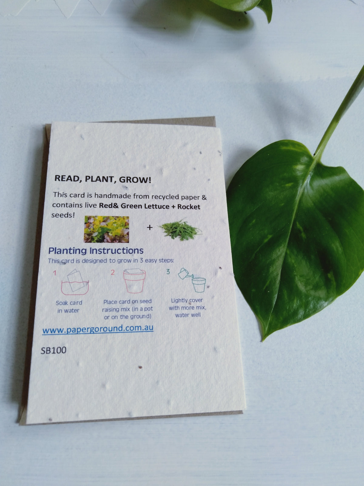 Stay at home and grow your own food seed card (salad) - Pookipoiga