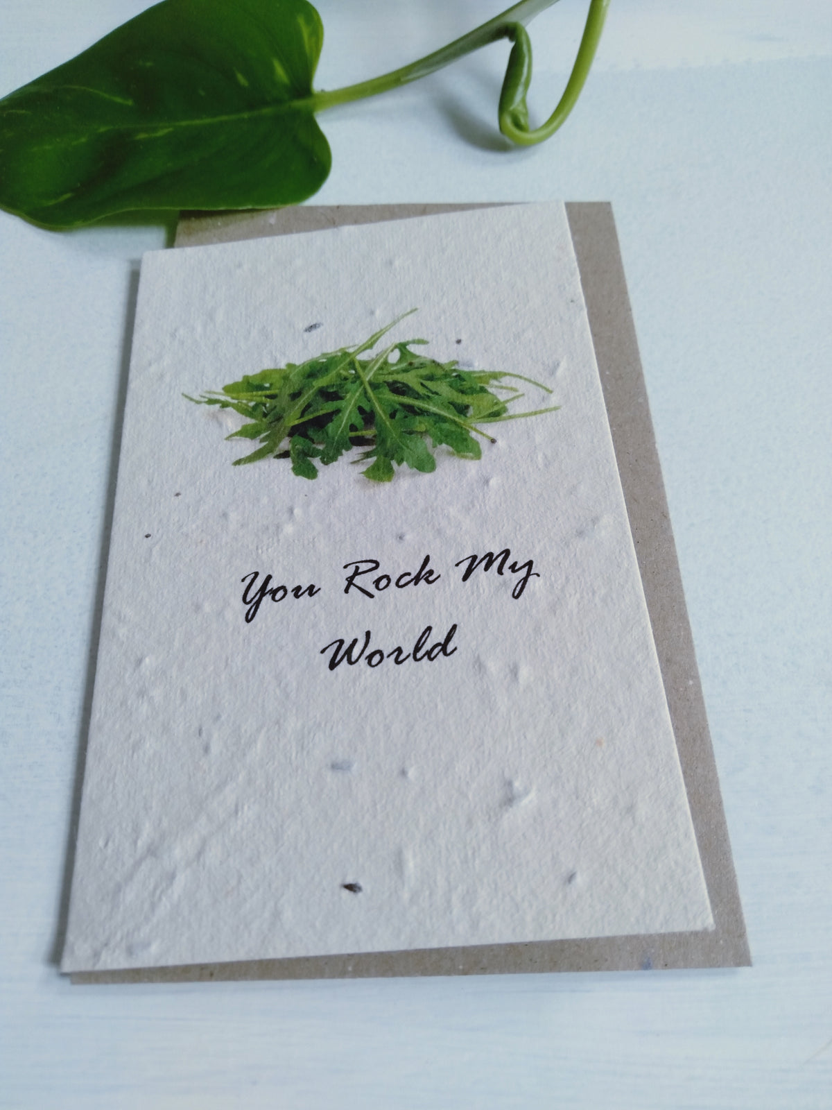 You rock my world seed card (Rocket) - Pookipoiga