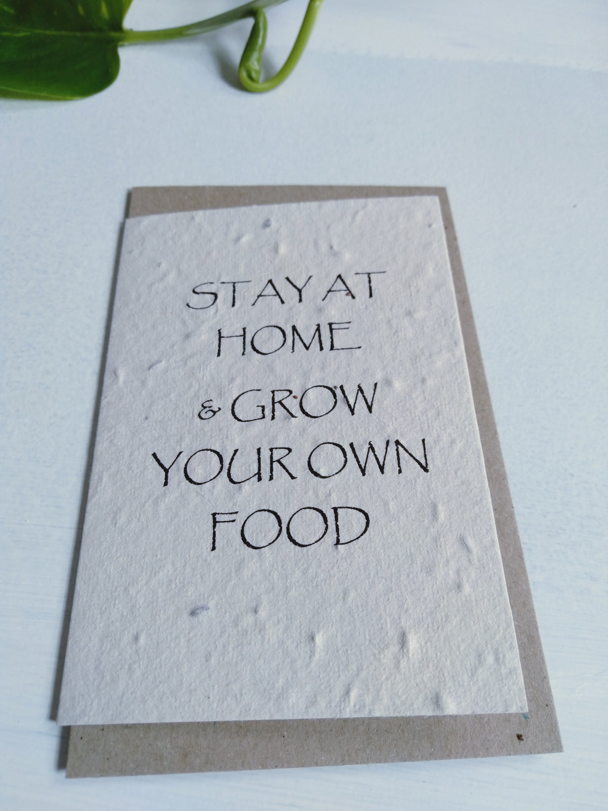 Stay at home and grow your own food seed card (salad) - Pookipoiga