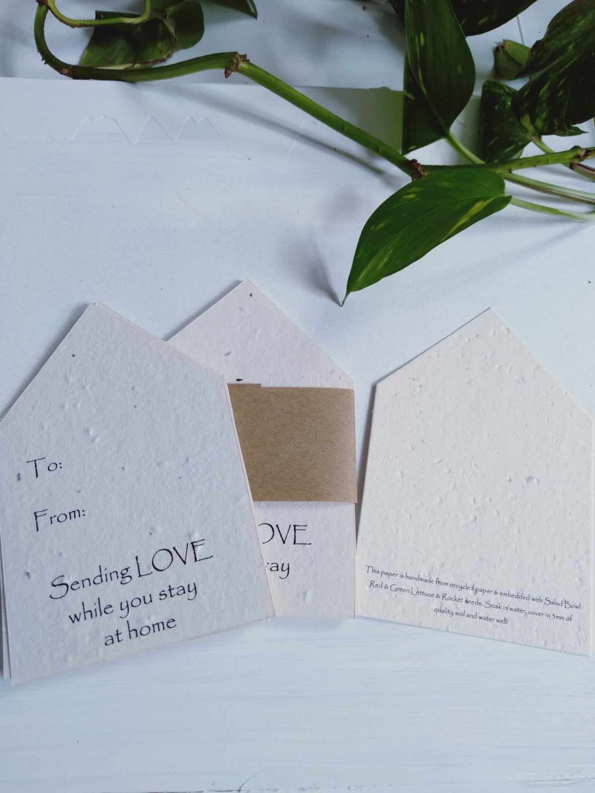Stay at home seed paper card  pack of 5 (salad bowl seeds) - Pookipoiga