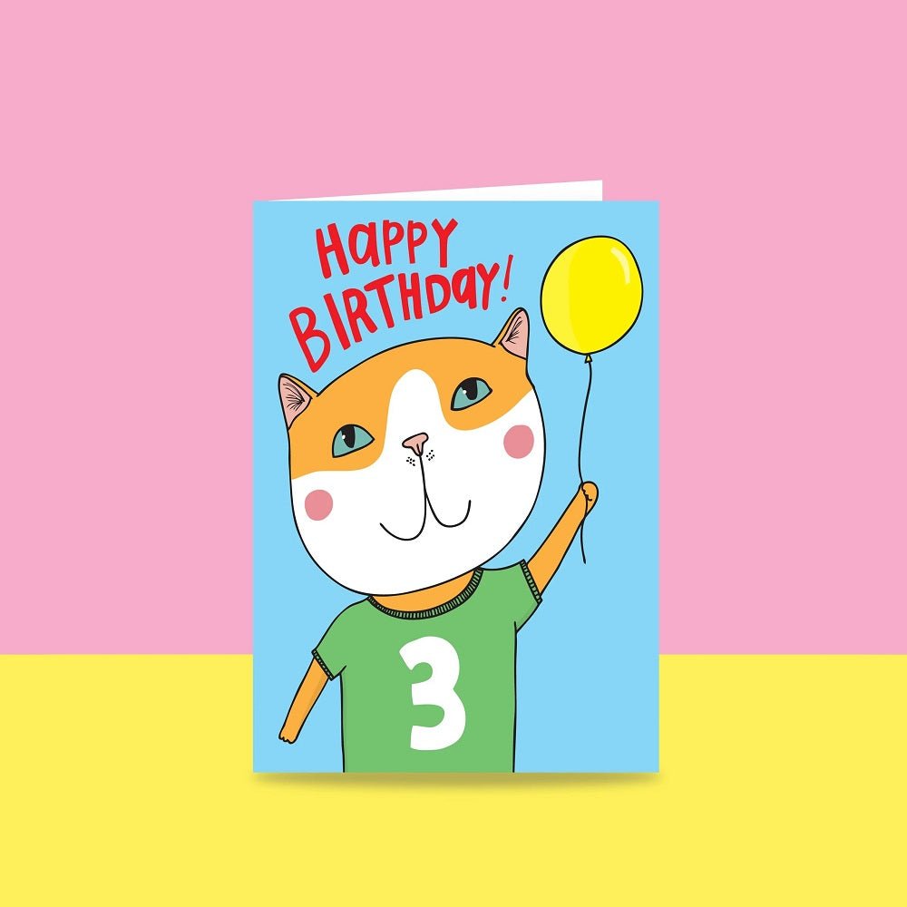 Able and GameAble and Game Cat Top 3rd Birthday #same day gift delivery melbourne#