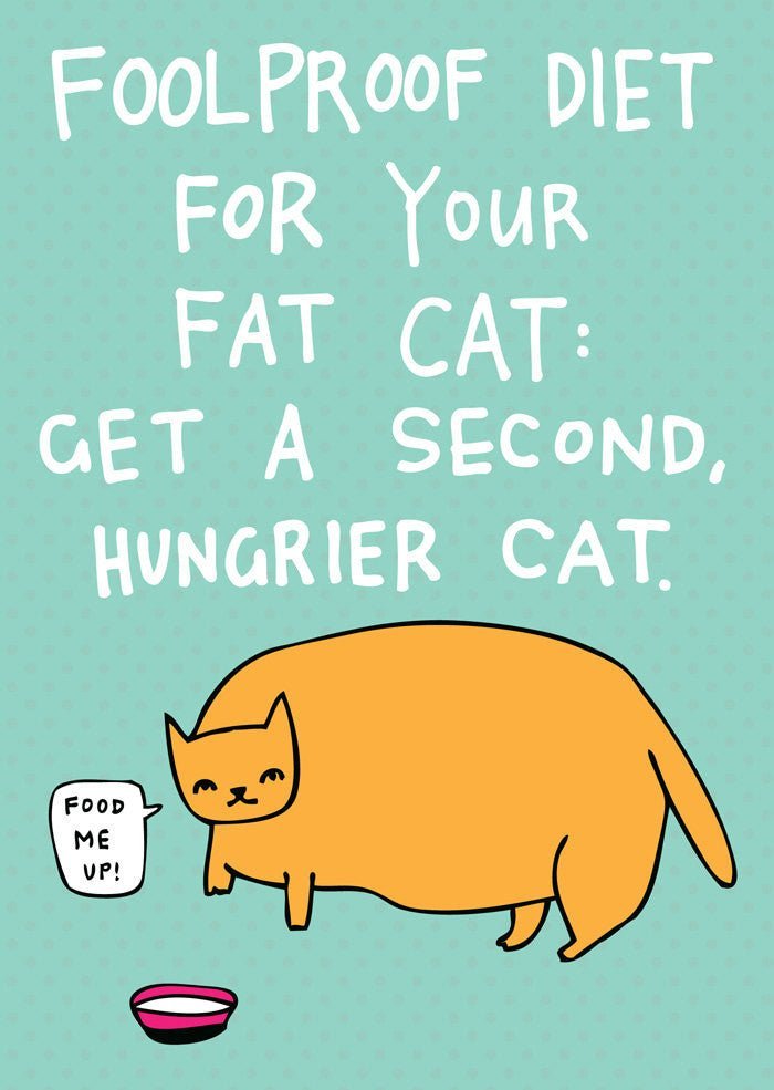 Able and Game Foolproof diet for your fat cat: Get a second, hungrier cat