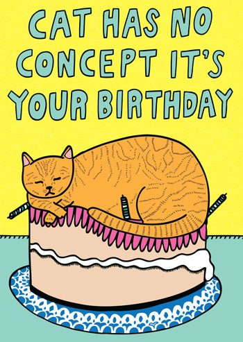 Able and Game This Cat Has No Concept It's Your Birthday