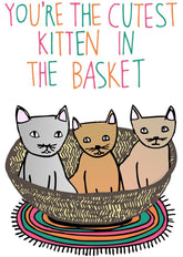 Able and GameAble and Game You're the cutest kitten in the basket #same day gift delivery melbourne#