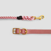 Animals In ChargeAnimals In Charge Dusty Pink Recycled Canvas Dog Collar #same day gift delivery melbourne#