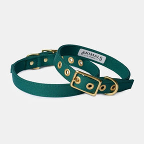 Animals In Charge Forest Green Recycled Canvas Dog Collar