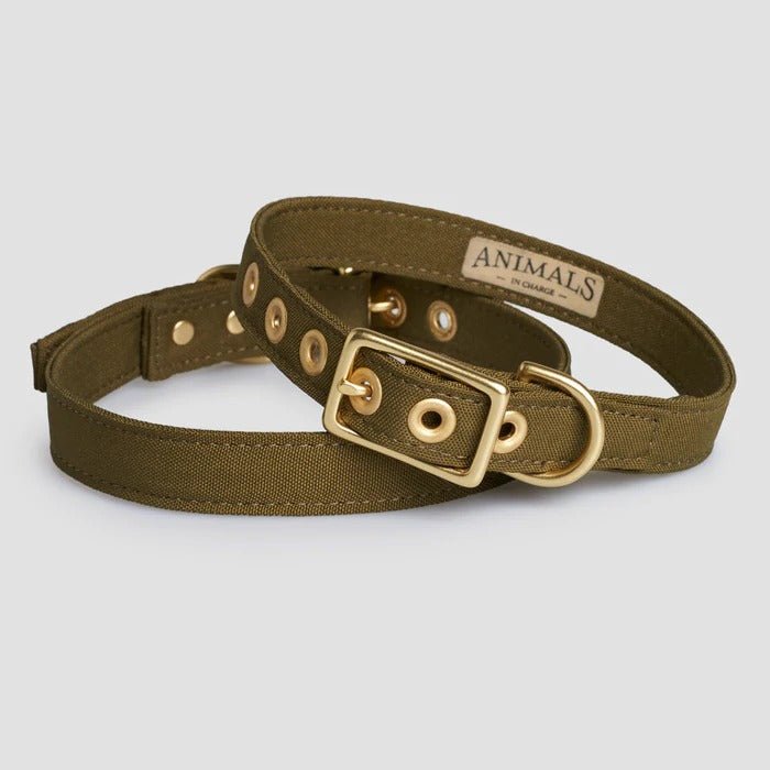 Animals In Charge Olive Recycled Canvas Dog Collar
