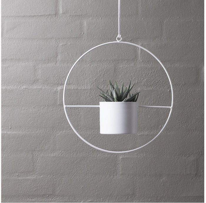 Dans PlantsMetal Ring Halo White Pot 95mm #same day gift delivery melbourne#