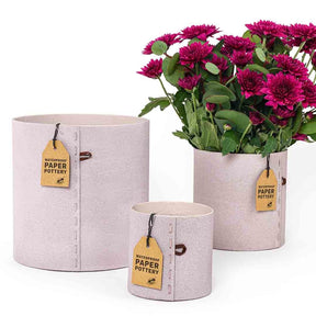 Eco Max Paper Pottery Airlie Pot Set - Import Ants