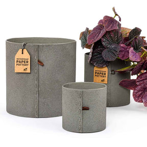 Eco Max Paper Pottery Airlie Pot Set - Import Ants